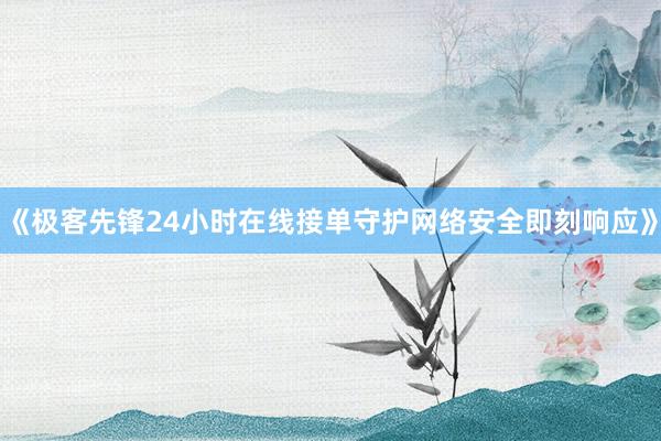 《极客先锋24小时在线接单守护网络安全即刻响应》