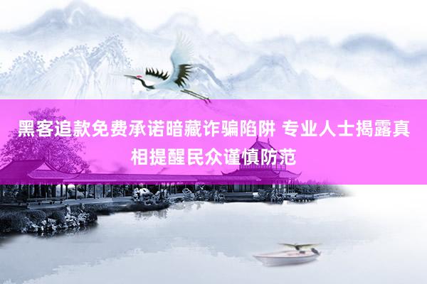 黑客追款免费承诺暗藏诈骗陷阱 专业人士揭露真相提醒民众谨慎防范